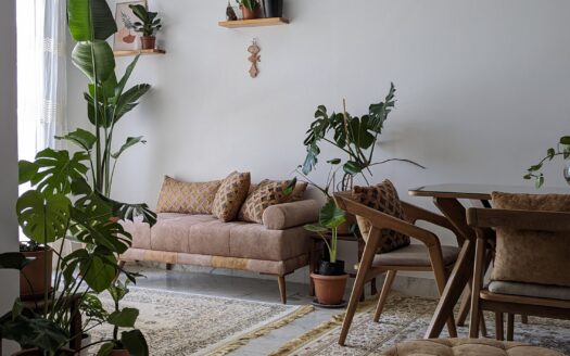 Apparrtement S+2 Falaise