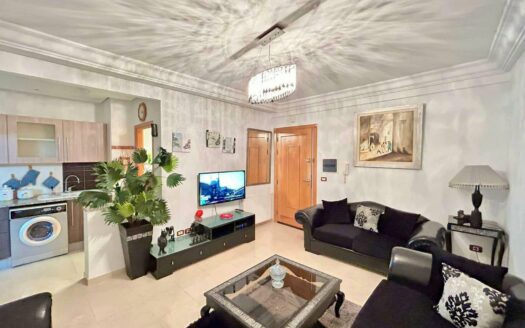 Appartement S+1 meublé à louer Menzah 9