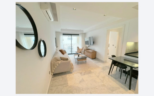 S+1 Haut Standing en location