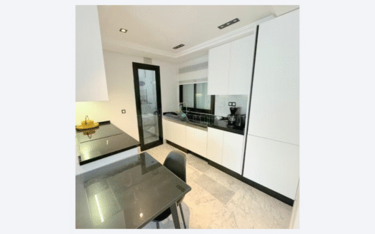 S+1 Haut Standing en location