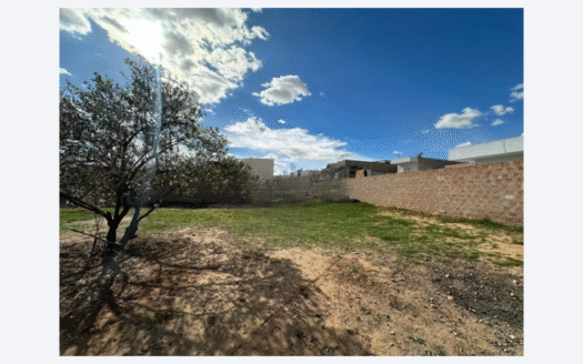 Terrain à vendre – Route Bouzayen