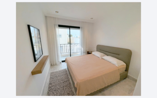 S+1 Haut Standing en location