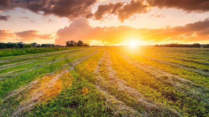 Comment vendre un terrain agricole,clavis